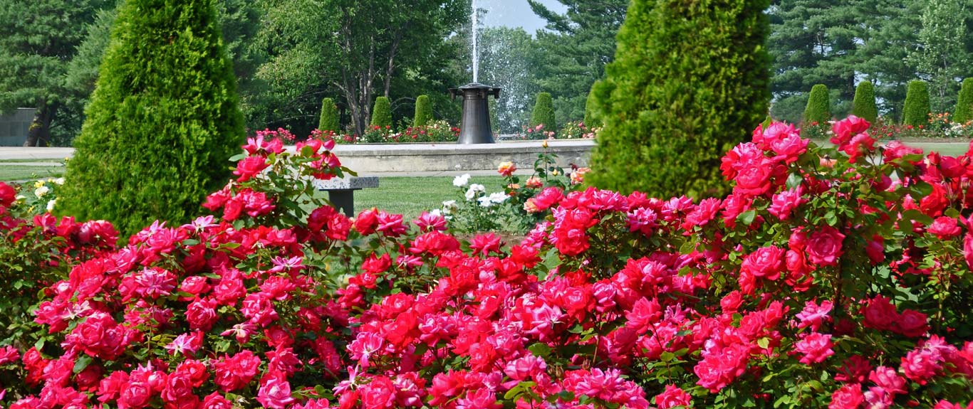 fountain