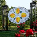 Walnut Hill Rose Garden